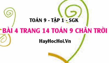 Bài 4 trang 14 Toán 9 tập 1 Chân trời sáng tạo SGK